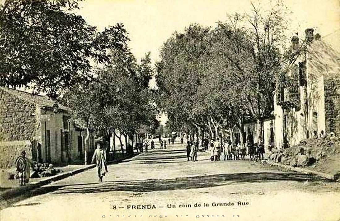 Frenda 20.jpg
